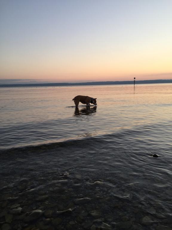 Strandhaus Hagnau Hotel Bagian luar foto